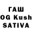 Галлюциногенные грибы Psilocybine cubensis Patishen :3