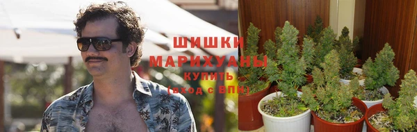 эйфоретик Верея