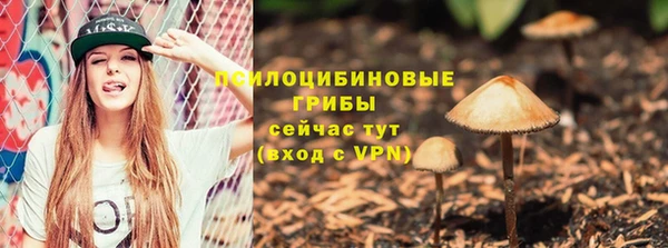 винт Бородино