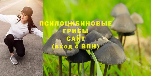 эйфоретик Верея