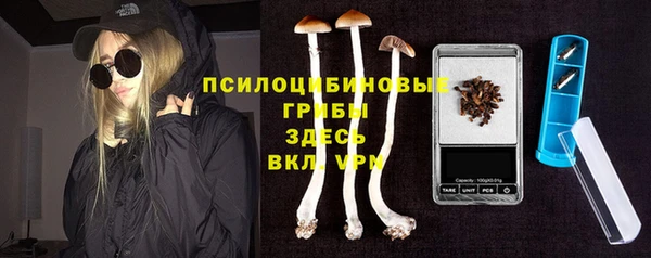 ГАЛЛЮЦИНОГЕННЫЕ ГРИБЫ Верхнеуральск