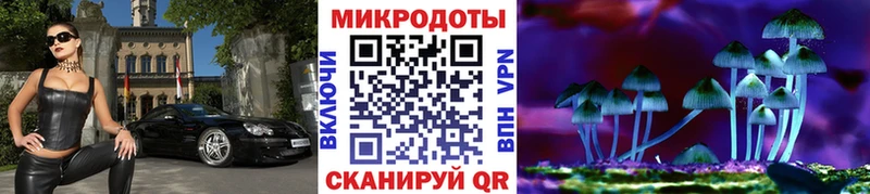 Псилоцибиновые грибы Cubensis  закладки  мориарти наркотические препараты  Дербент 